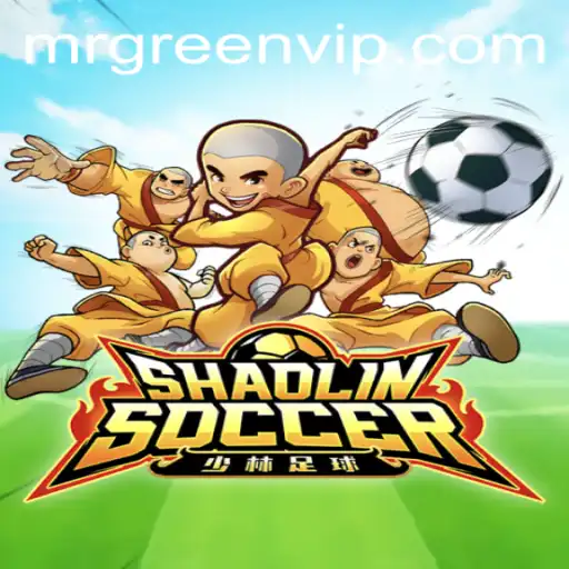 ShaolinSoccer: Mastering the Art of Martial Soccer